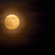 Illustration for article titled 19 Stunning Photos of The Year's Biggest, Most Beautiful Moon So Far